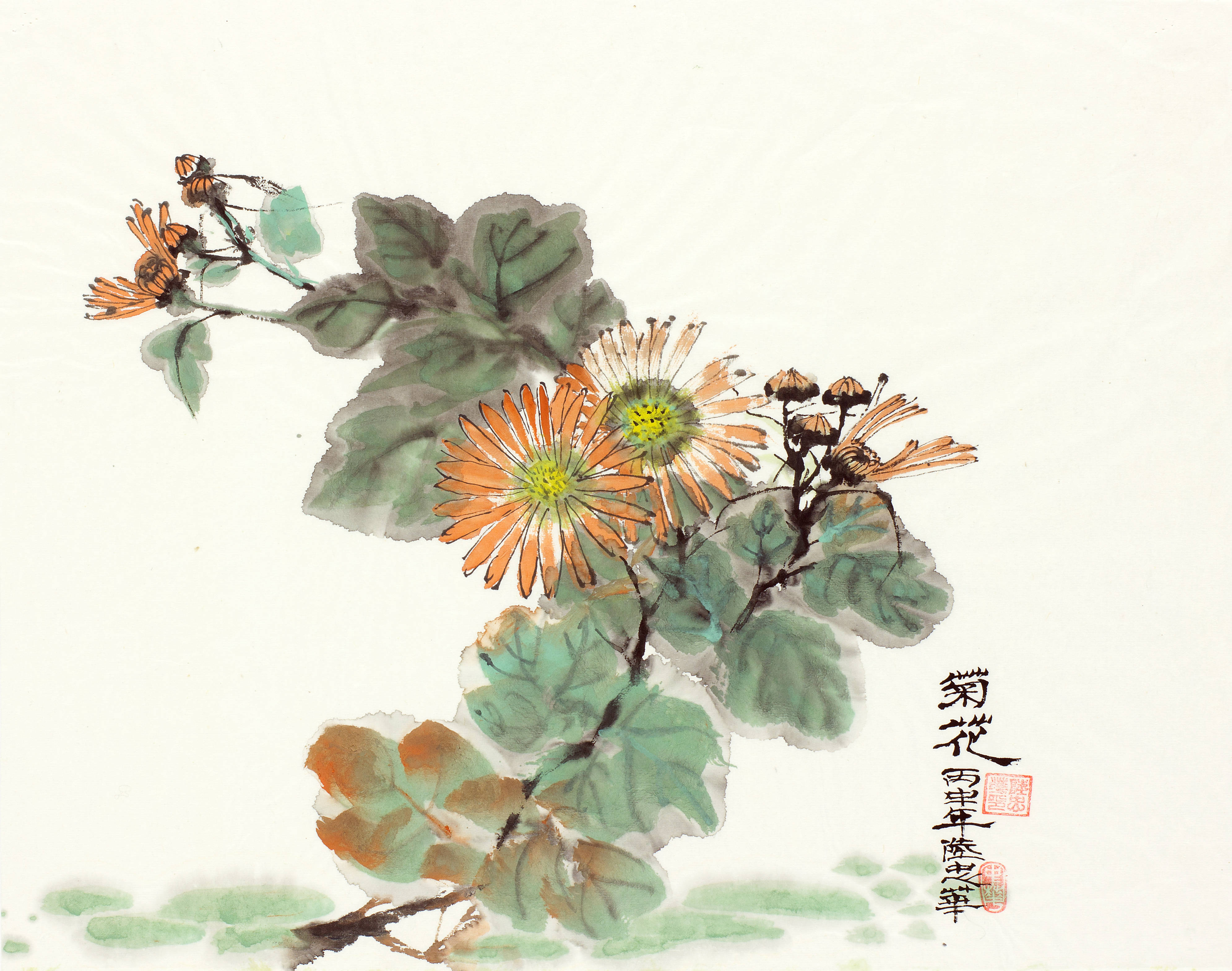 1-129 Chrysanthemum Season